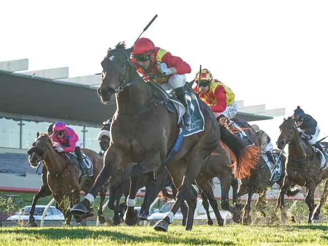 Beast Mode ridden by Blake Shinn wins the Tobin Brothers Celebrating Lives Handicap at Sportsbet Sandown Hillside Racecourse on July 03, 2024 in Springvale, Australia. (Photo by Scott Barbour/Racing Photos via Getty Images)