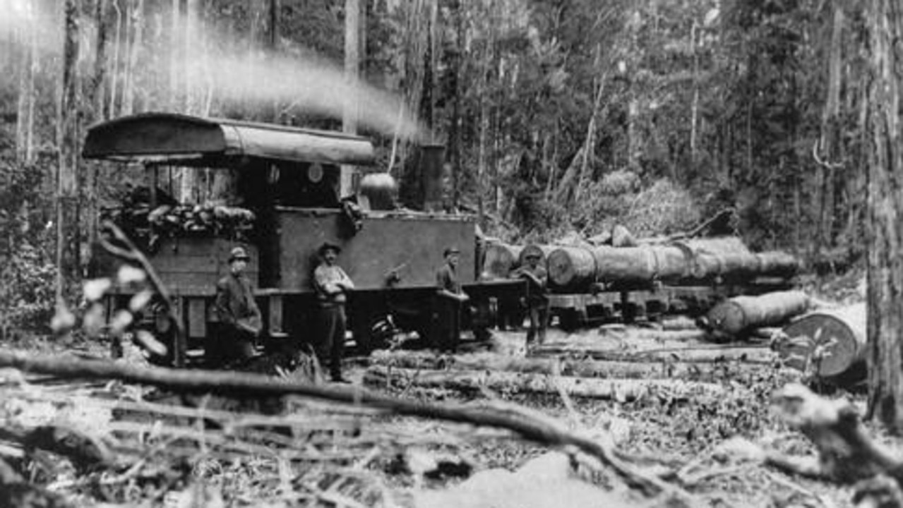 Black Bess Steam Engine, Fraser Island Logging Railway, c. 1920–1946. A key player in the Fraser Island timber industry, lovingly nicknamed “Black Bess.” Source: State Library of Queensland, Glenda Wilkinson