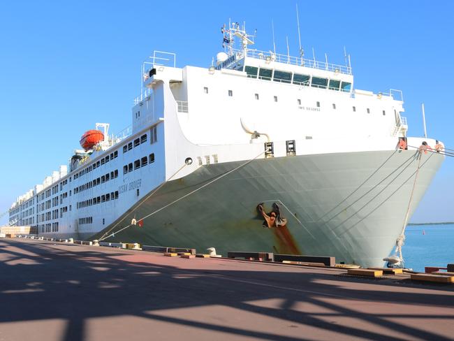 MV Ocean Drover,A total 15,000 Northern Territory cattle worth more than $20 million have been loaded at Darwin Port via a total of 100 road train movements. Exporter AUSTREX loaded 11,500 NT cattle on the MV Ocean Drover, SUPPLIED