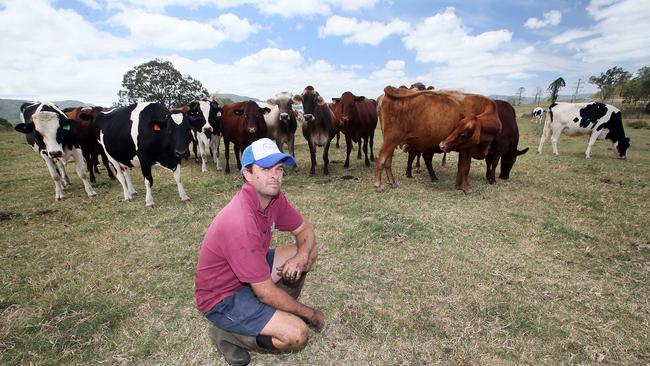 Queensland Dairyfarmers Organisation vice president Matt Trace says the only way to change ADF is to vote for change.