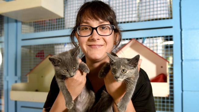 Townsville animal attendant Simone Tokic was photographed with a couple of kittens for adoption from the RSPCA in 2018.