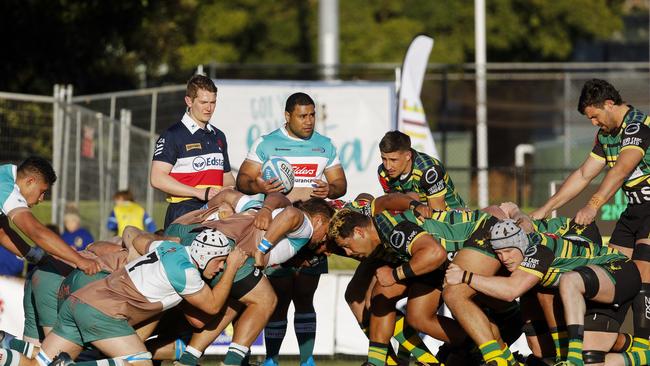 Gordon are undefeated this season in Shute Shield.