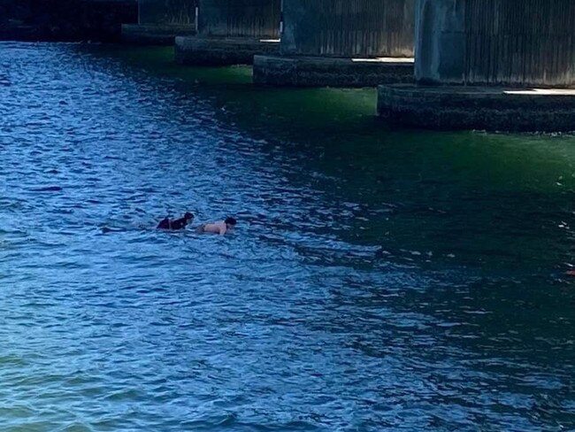 Jack is seen here under the Missingham Bridge with the young girl he helped rescue. Credit: Contributed