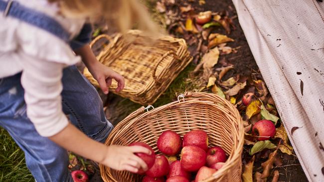 Fresh produce growers and suppliers have denied visa workers picking fruit are subject to widespread ­exploitation.