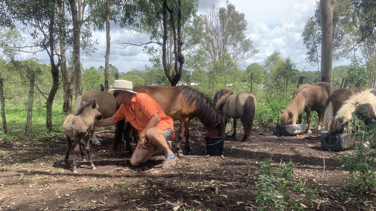 The bulk of her fruits are also fed to her friend John’s miniature horses which is why she is always on the hunt for bargain buys. Picture: Cath Hoge