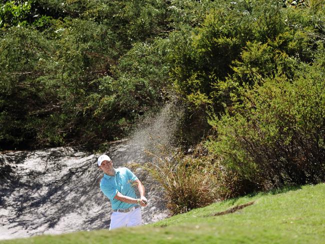 Plants within the Royal Sydney Golf Club. Australian Open 2016. Picture: Brett Costello