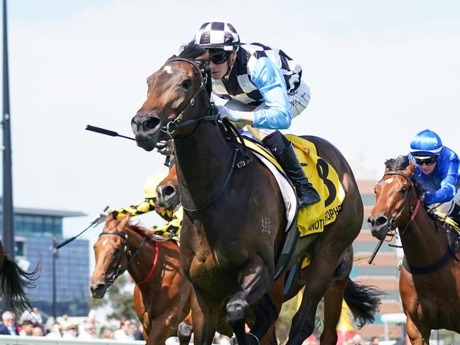 Another Prophet ridden by Ethan Brown wins the Schweppes Thousand Guineas at Caulfield Racecourse on November 16, 2024 in Caulfield, Australia. (Photo by Scott Barbour/Racing Photos via Getty Images)