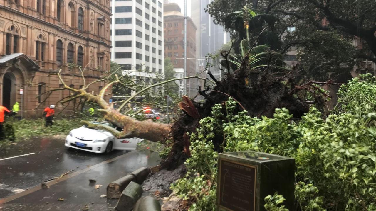 A tree that fell on a taxi in Sydney’s CBD. Picture: NSW Ambulance Twitter