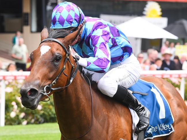 Jenni's Meadow ridden by Daniel Stackhouse wins the Young Members Cocktail Party 2 Feb Handicap at Moonee Valley Racecourse on December 30, 2023 in Moonee Ponds, Australia. (Photo by Pat Scala/Racing Photos via Getty Images)