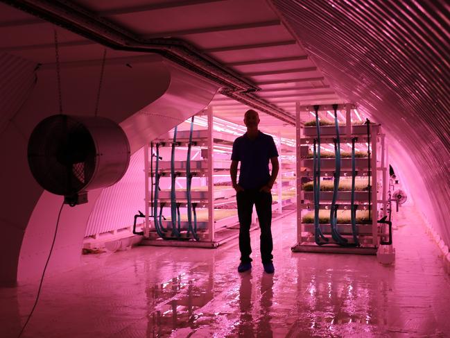 Growing Underground micro-herb farm underneath Clapham in London. Picture: Flickr/Zero Carbon Food