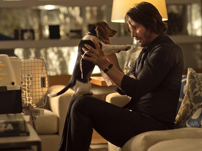 Beloved and adorable puppy ... Why John Wick, played by Keanu Reeves, is sparked back into a killer mode in thriller John Wick. Picture: AP Photo / Lionsgate / David Lee