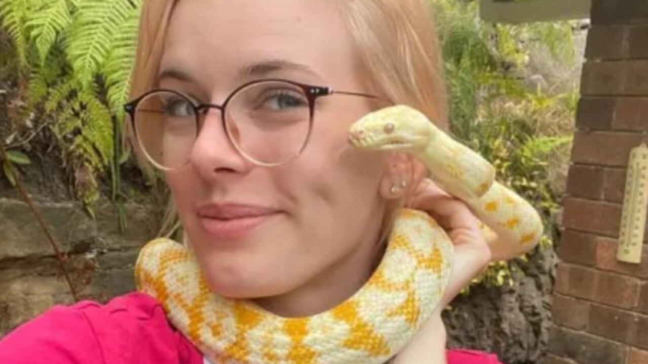 Snakes Missing In Coogee, Sydney, Reunited With Owner | News.com.au ...