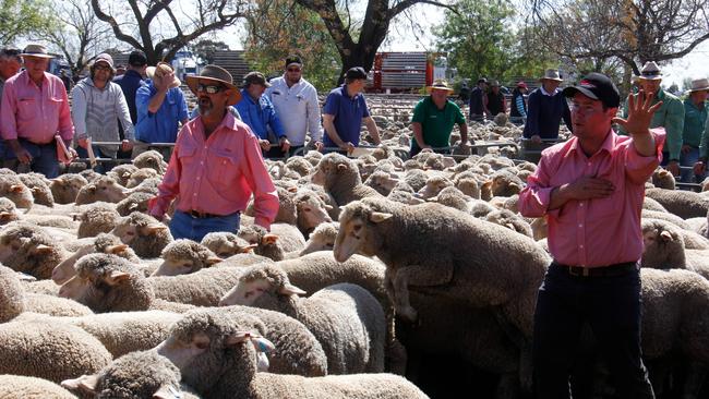 Sale has them jumping: Mark Newnham and son Toby auctioneering at the Hay store sale. Picture: Jenny Kelly