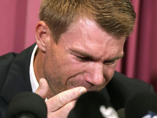 Former Australia national cricket team vice-captain David Warner