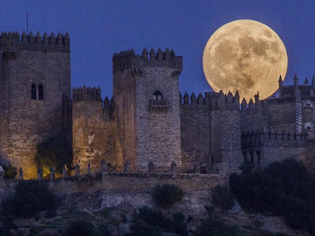 The moon rises behind the castle of Almodovar in Cordoba, southern Spain, on Sunday, Nov. 13, 2016. The Supermoon on November 14, 2016, will be the closest a full moon has been to Earth since January 26, 1948. (AP Photo/Miguel Morenatti)