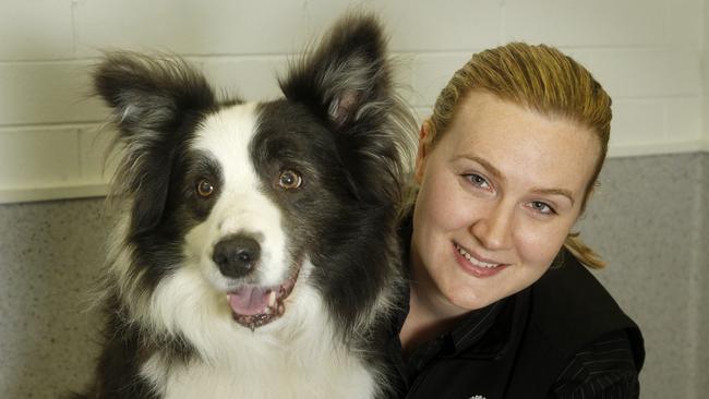 Bayside vets warn dog walkers to be wary of snakes | Herald Sun