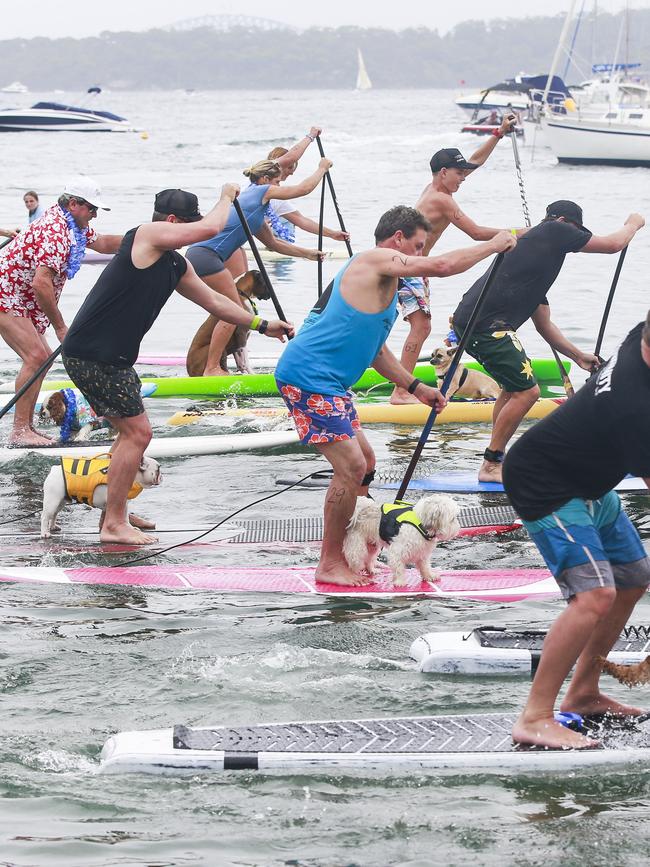 Stand up paddle board owners will have to pay for permits.