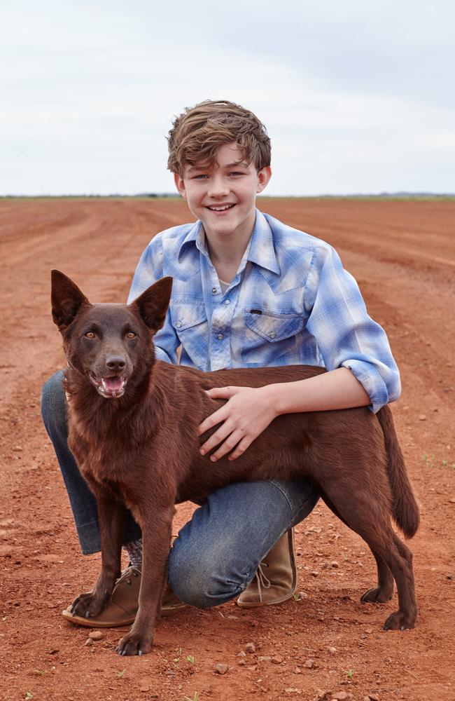 Australia’s favourite canine is back for a prequel adventure in Red Dog: True Blue. Picture: Roadshow