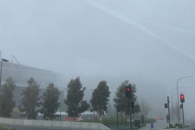 Fog hides the SAHMRI building. Picture: Mia Briddon