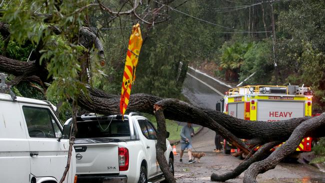 Emergency servcies in Kookaburra Close at storm-hit Bayview. Picture: Damian Shaw