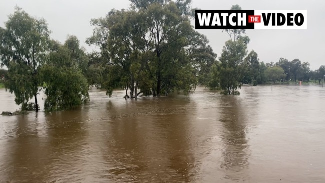 Condamine River at Warwick from Madsen Bridge