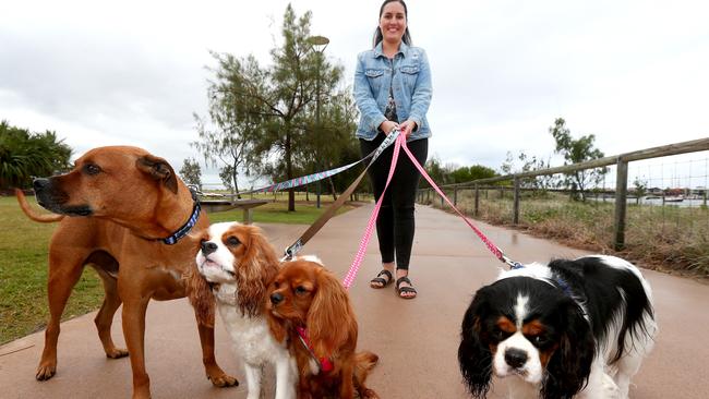 Gold Coasters set to walk for a good cause at the RSPCA’s Million Paws ...