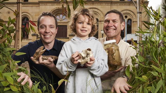 Ecologist, Michael Stead, Ernie, 4 and Information Officer, James Smith with specimens at the SA Museum Discovery Centre in Adelaide, Friday, Sept. 24, 2021. Picture: Matt Loxton