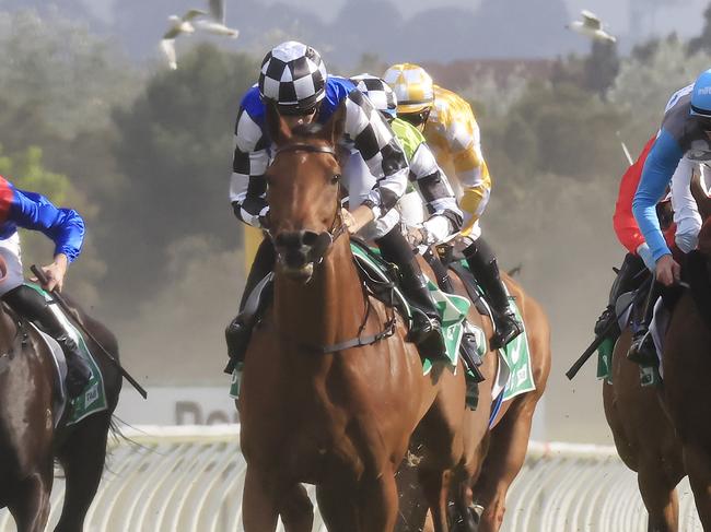 KEMBLA GRANGE, AUSTRALIA - NOVEMBER 19: Jason Collett on Nugget wins race 9 the Abax Contracting Benchmark 88 Handicap during Sydney Racing at Kembla Grange on November 19, 2022 in Kembla Grange, Australia. (Photo by Mark Evans/Getty Images)