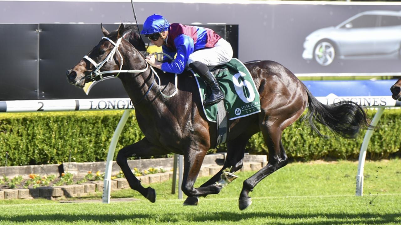 Kandinsky Abstract wins at Canterbury in May last year. Picture: Bradley Photos