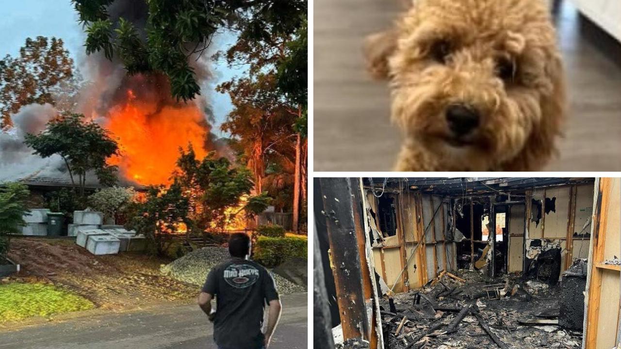 A southside family lost everything including their pet puppy in a horrific house fire.