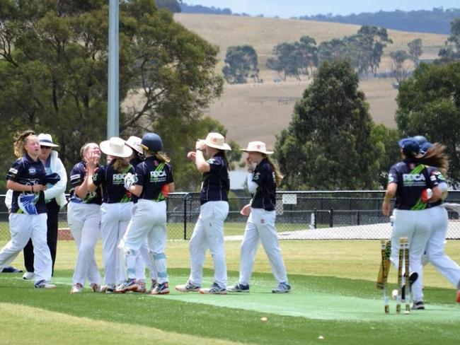 The Ringwood District girls celebrate a wicket.