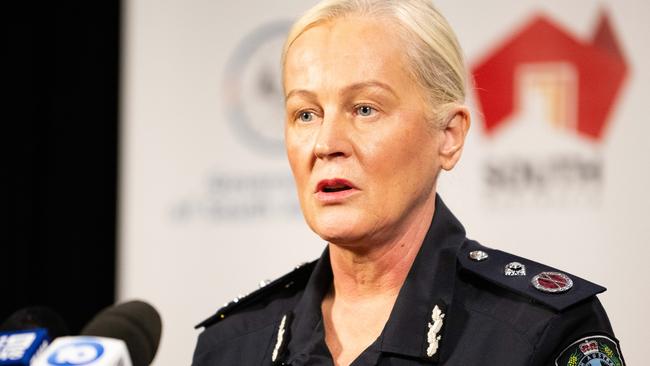 Deputy Commissioner of Police Linda Williams speaks at a press conference on DV Operation Storm. Picture: NCA NewsWire / Morgan Sette