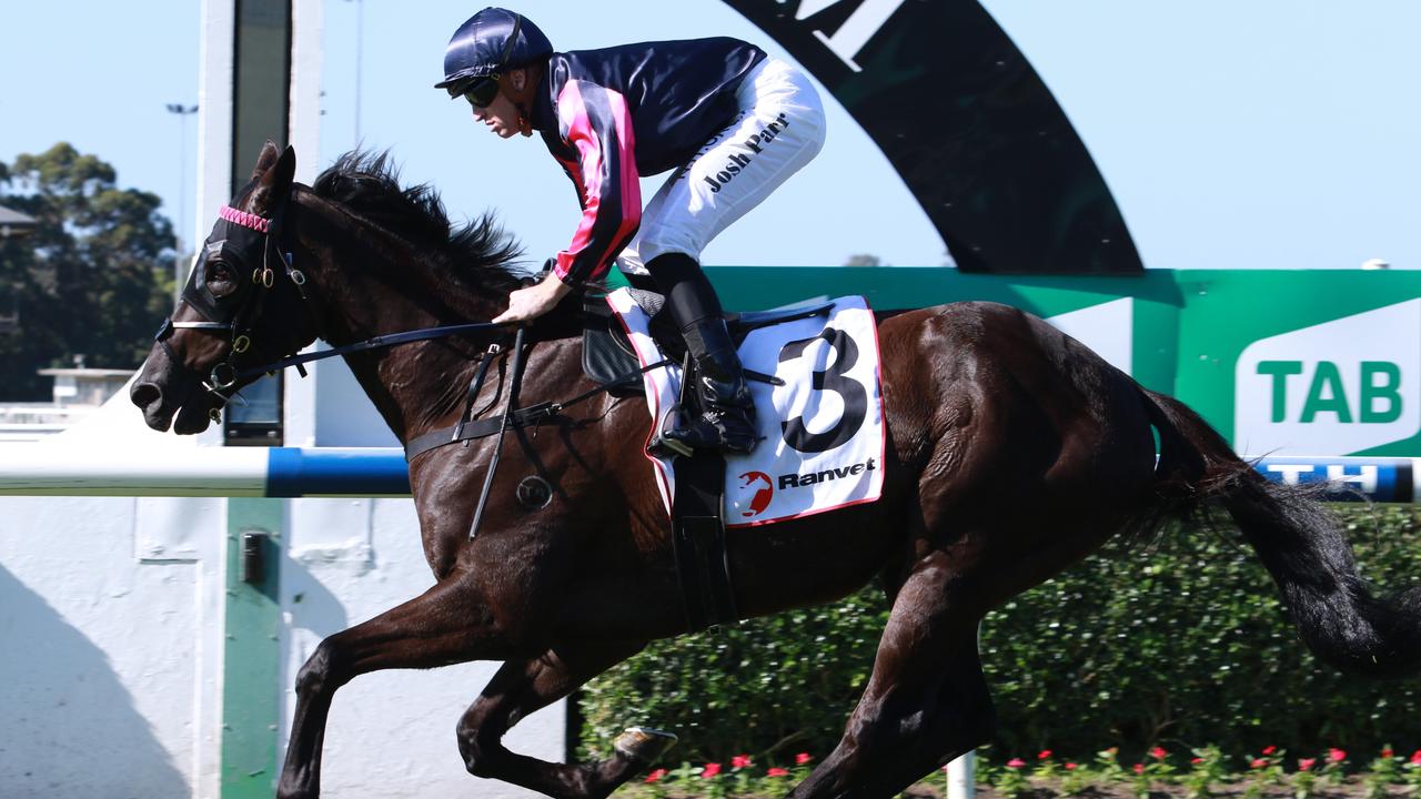 Skymax winning at Warwick Farm. Picture: Grant Guy