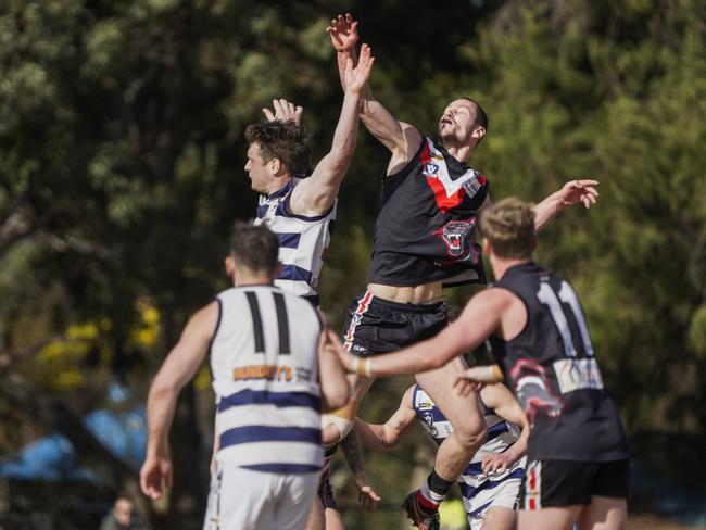 Dales ruckman Huw Jones goes up against Devon’s Brayden Haynes.