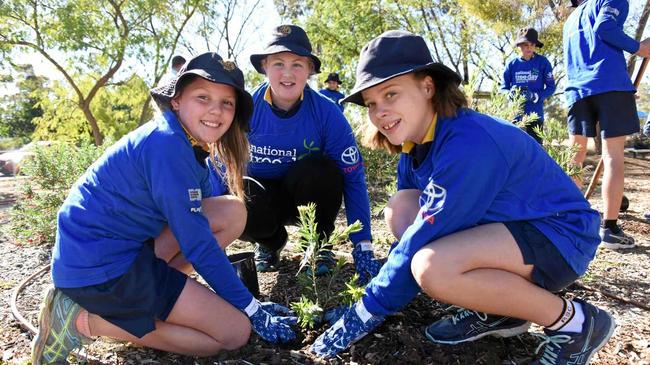 TREE DAY: Sarah Swan, Jael Halls and Hannah Waldron plant a tree at Roma State College middle campus in preparation for National Tree Day. Picture: Alexia Austin