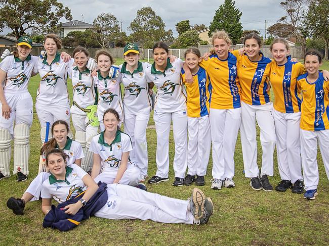 Players from the Washington Park-Carnegie and St Brigids St Louis teams.