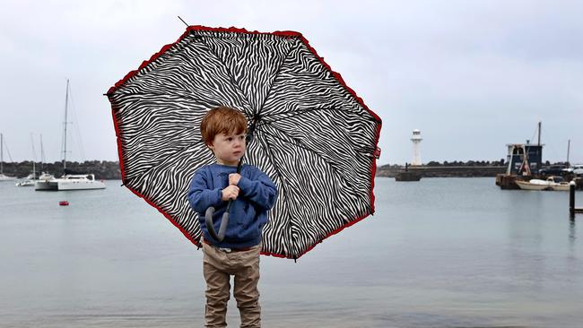 Henry Jarman, two, holds an umbrella while at Wollongong harbour. Picture: Toby Zerna