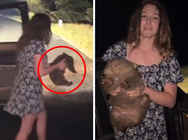 An American hunting influencer has sparked intense backlash online after posting footage of herself capturing a wild baby wombat on the side of the road, removing it from its distressed mother. Picture: Instagram/SamJones