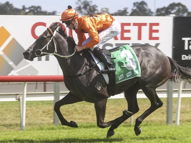 The Kris Lees-trained Memoria is a noted fresh performer and can make her presence felt in the final race at Randwick on Saturday. Picture: Bradley Photos