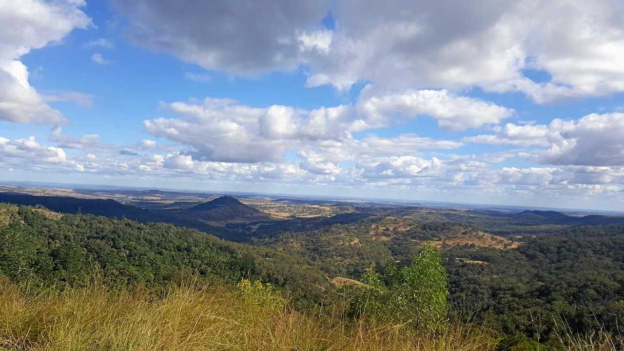 are dogs allowed at bunya mountains