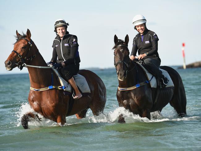 Opportunity beckons at Sandown this weekend for Grand Marshal (Raquel Bennett/right) and Who Shot Thebarman (Justine Hales), who enjoy a paddle at Altona Beach. Picture: Getty Images