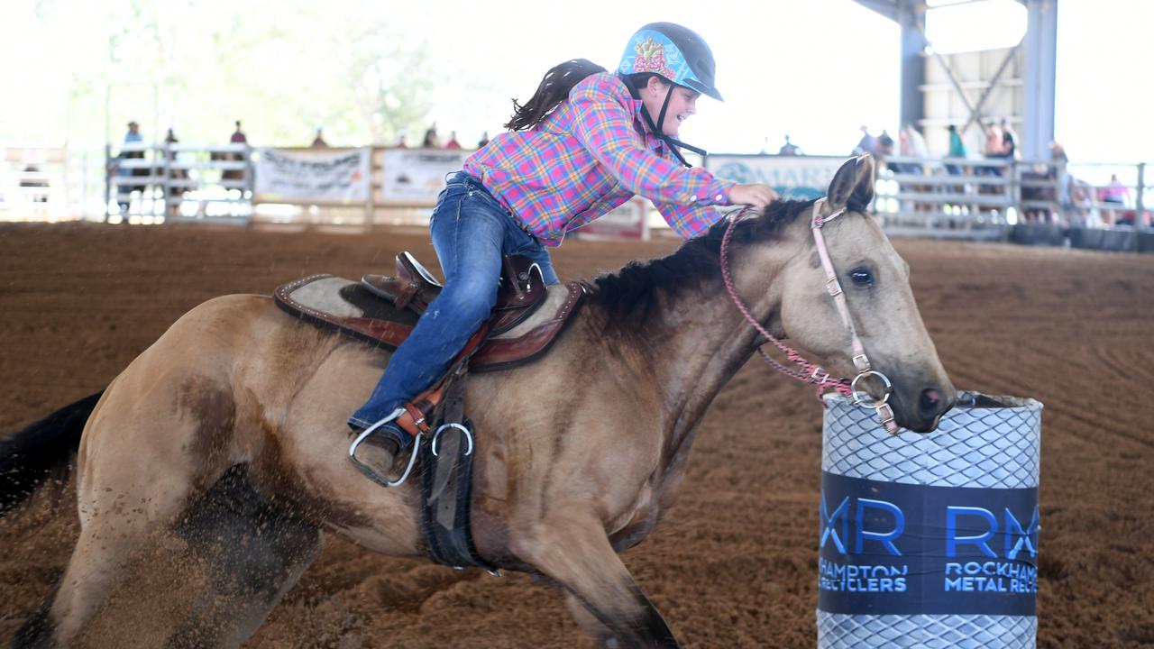 barrel racing horses for sale australia