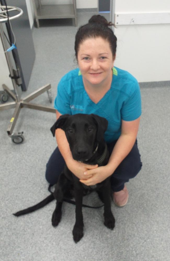 Maree Siebrecht from Central Rochedale Vet Clinic with a patient