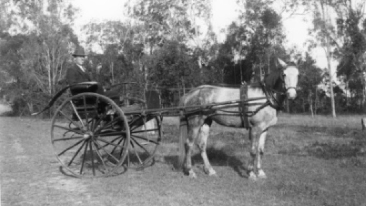 Horse and sulky turn-out, Maryborough, c. 1920. A common mode of transportation in early 20th Century Maryborough. Source: Maryborough Wide Bay &amp; Burnett Historical Society