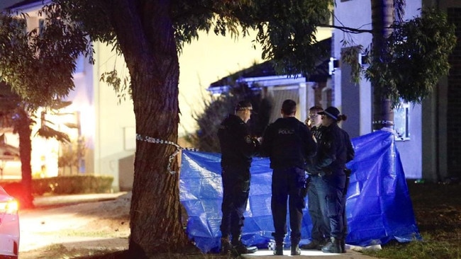 Police at the scene where Rita Camilleria was allegedly murdered. Her head was found on the footpath outside the house. Picture Steve Tyson / TNV