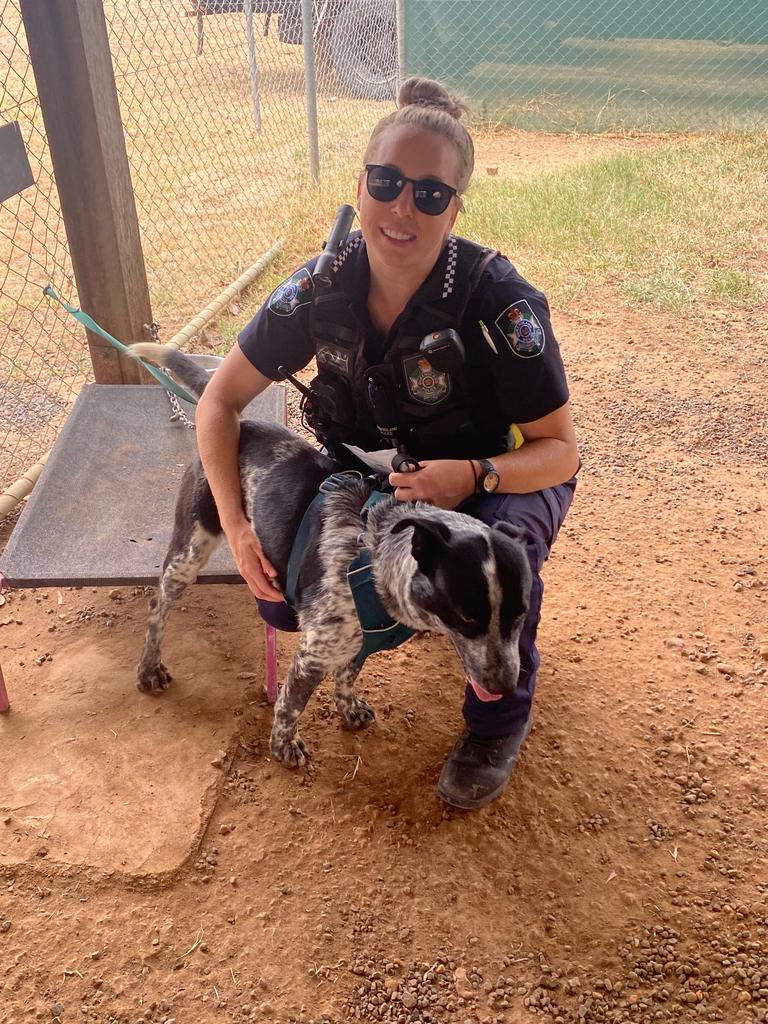 Gatton constable Kimberly Allen, with one of the rescue dogs at Laidley Brave Companion Dogs.