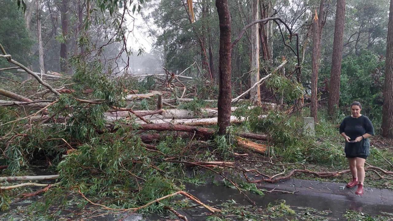 Beerwah residents wake up to storm damage. Picture: Dean Flutey