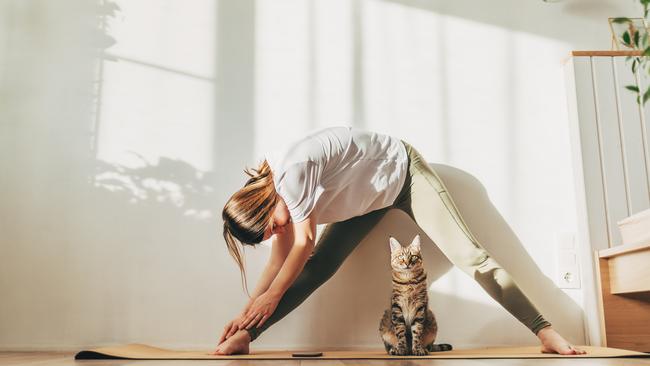 Doing a few passive stretches before a workout makes your blood vessels more resilient. Picture: Getty Images