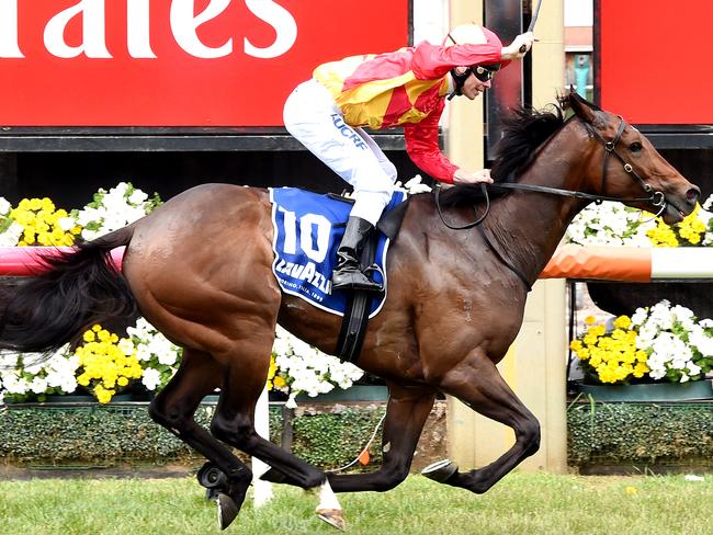 Malaguerra sits at the top of the opening market for the Stradbroke Handicap. Picture: Nicole Garmston