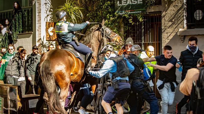 Police try to quell protesters. Picture: Julian Andrews